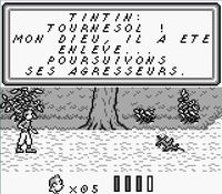 une photo d'Ã©cran de Tintin - Le Temple du Soleil sur Nintendo Game Boy